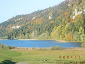 la berlie du jura - Les Piards