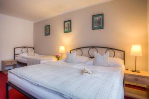 Standard Double Room room in Penzion Obora