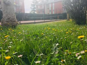 Rome Guest Hospitality