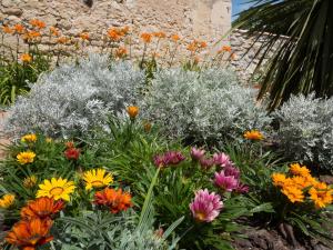 Le Logis du médoc photo 21