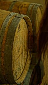 Appartements Bordeaux Village Blaye : photos des chambres