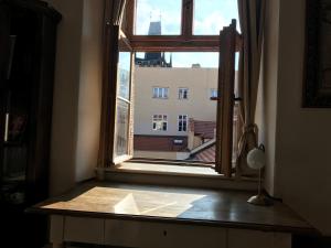 Queen Bee apartments