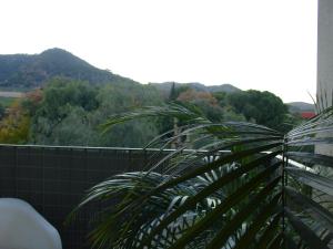 Playa y Montaña Faura-Valencia