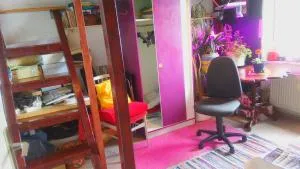 CityCentre room for 1 female persons - alternative plus 1 child - Frankfurt am Main