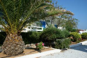 Bungalows Marina Paros Greece