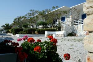 Bungalows Marina Paros Greece