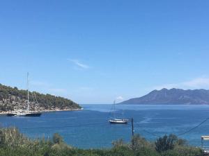 Poseidon Argolida Greece