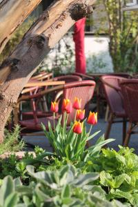 Hotel Kölner Hof Refrath