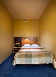 Economy Double Room room in Hanza Hotel & Wellness