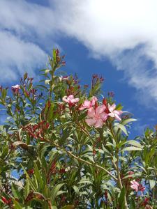 Appartements Villa Colombier : photos des chambres