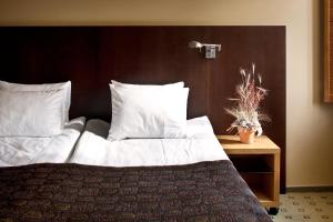Hanza Hotel