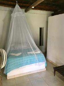 Palomino Breeze Hostal