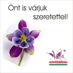 Viola Apartman with infra sauna