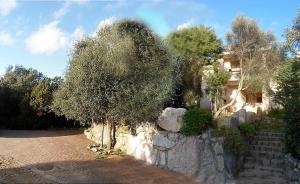 APPARTAMENTO BIFAMILIARE PEDRAROSADA di SERENELLA