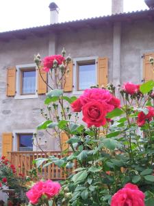 Ferienhaus Irene, Fiave