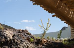 Unique homm Seafront Villa in Serifos Sotiras Seriphos Greece