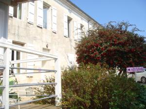 Maisons d'hotes L'Hedoniste : photos des chambres