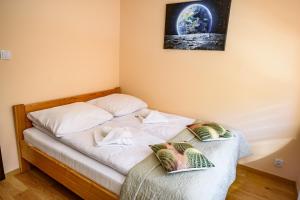 Apartamenty Sun & Snow Zielona