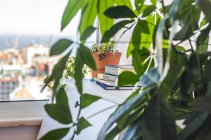 Graça Amazing River Views