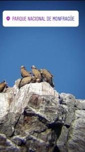 Apartamentos Rurales el Trillo