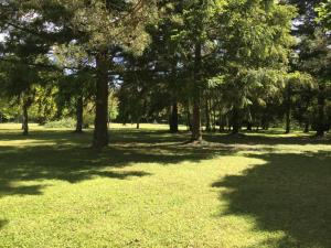 Maisons de vacances Longere 2 pers au coeur de la Touraine : photos des chambres