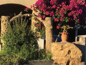 Appartements Apartment in Moriani-Plage by the Beach : photos des chambres