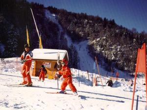 Chalets Nice chalet with dishwasher, in the High Vosges : photos des chambres