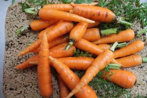 Agriturismo Su Recreu img37