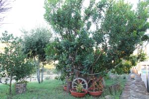 Agriturismo Su Recreu img35