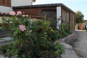 Agriturismo Su Recreu img33