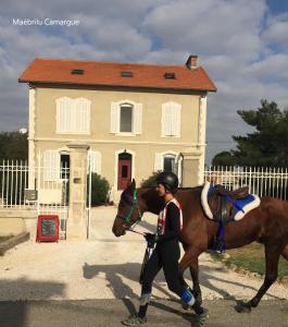 B&B / Chambres d'hotes Maebrilu Camargue Provence : photos des chambres