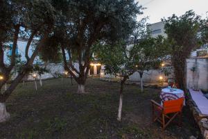 Two Olive Trees Spetses Greece