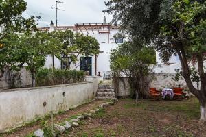 Two Olive Trees Spetses Greece