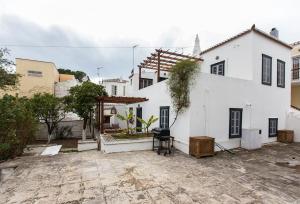 Two Olive Trees Spetses Greece