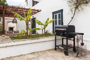 Two Olive Trees Spetses Greece