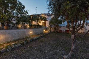 Two Olive Trees Spetses Greece