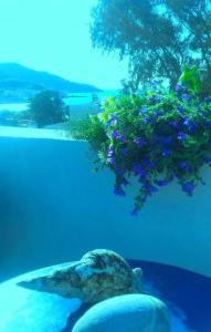 Angeliki Pension Amorgos Greece