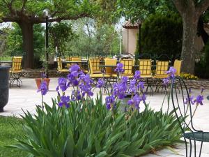 Hotels Best Western Le Val Majour : photos des chambres