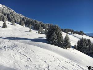 Appartements LES SAISIES - LA PERLE DES ALPES : photos des chambres