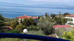 Asterias Apartments Aegina Greece