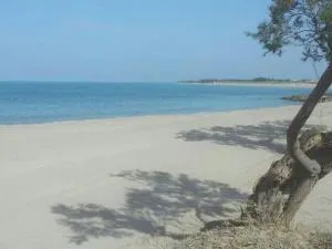Appartamento Alba vista spiaggia - Torre Mozza