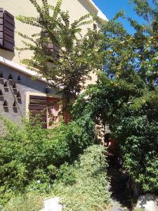 Carlos Country House