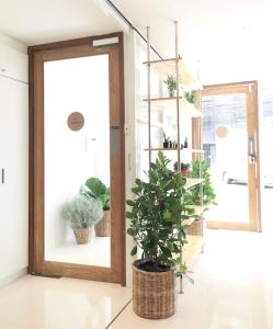 About A Bed Hostel Chiangmai