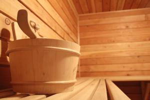 Pensiunea Mușatinii