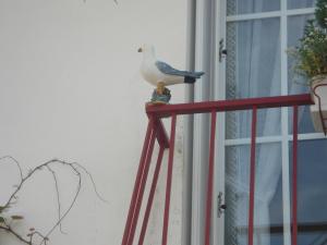 Hotel Men Er Vro photo 15