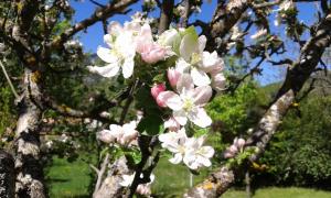 B&B / Chambres d'hotes Bnb Castellane : photos des chambres