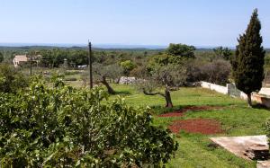 Vila Ana near Bale and Rovinj 