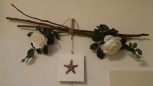 Cavalluccio Marino img22