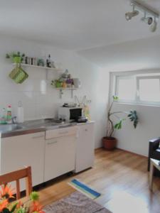 Nest Apartment 