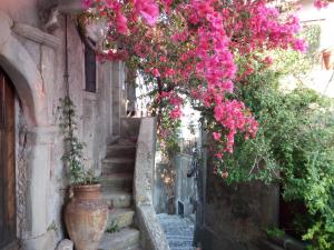 Antico Palmento